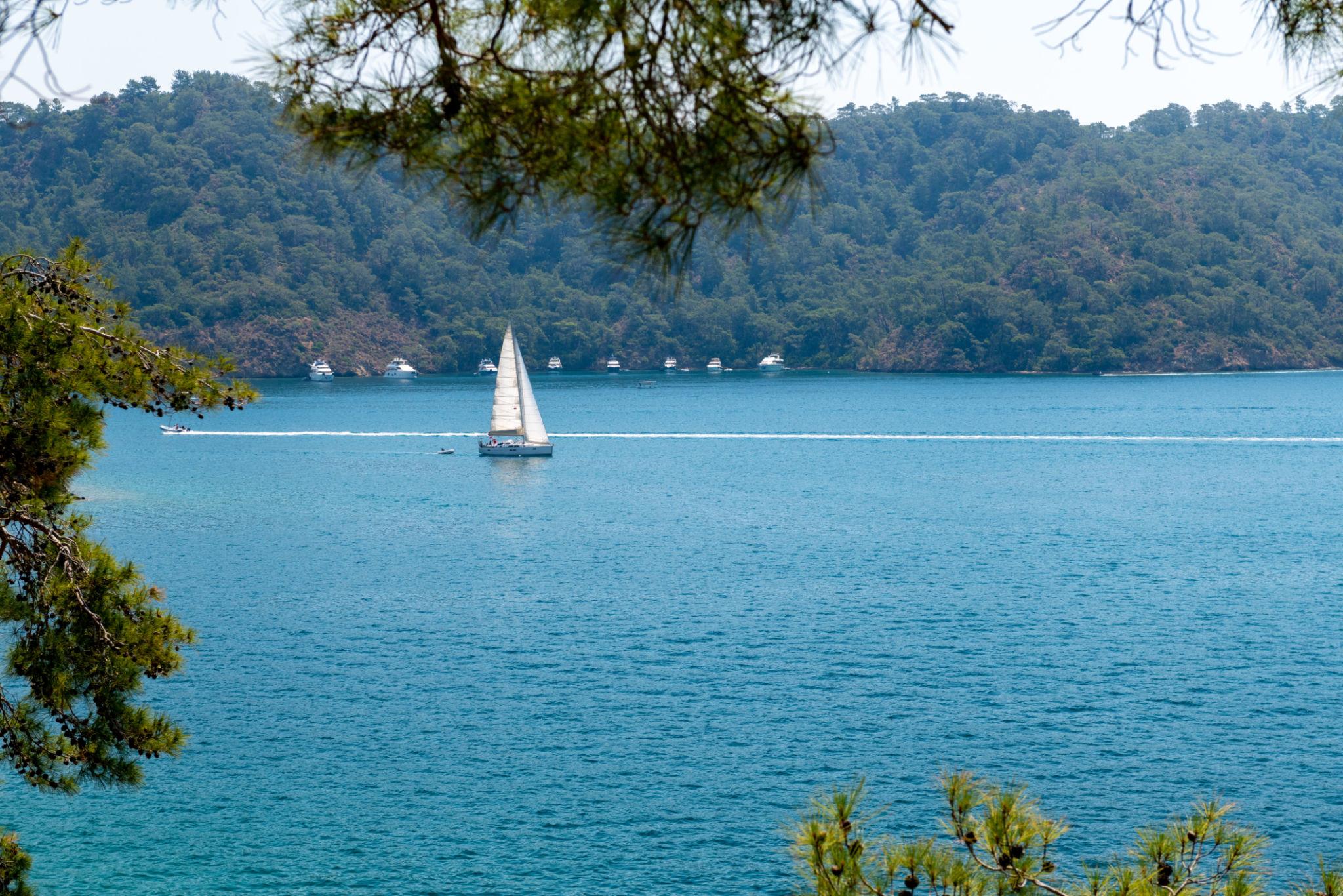 Yacht Agency